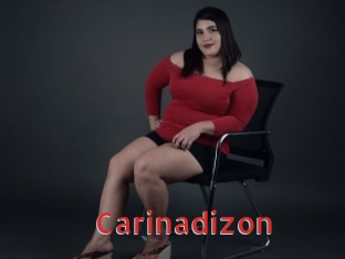 carinadizon Archive DVD NET
