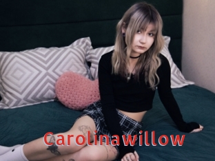 Carolinawillow