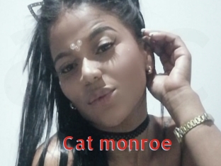 Cat_monroe