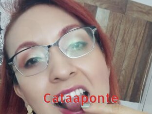 Cataaponte