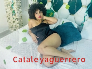 Cataleyaguerrero