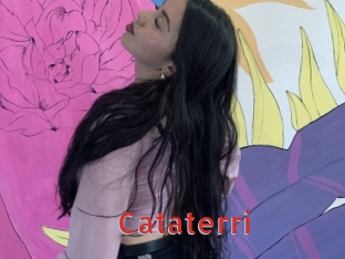 Cataterri