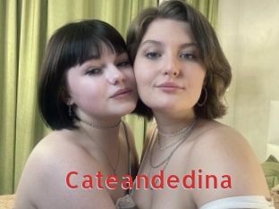 Cateandedina