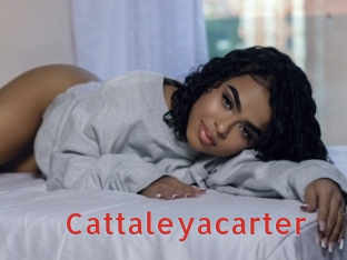 Cattaleyacarter