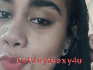 Cattleyasexy4u