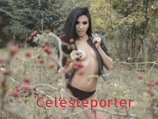 Celesteporter