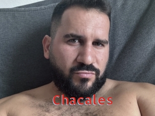 Chacales