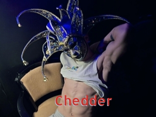 Chedder