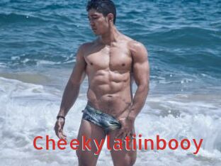 Cheekylatiinbooy