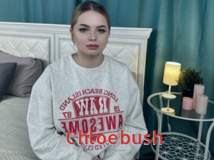 Chloebush