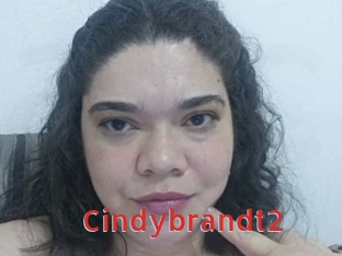 Cindybrandt2