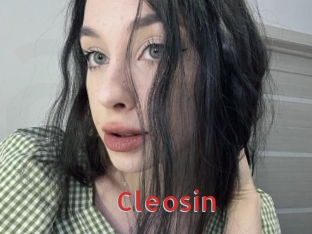 Cleosin