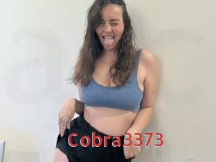 Cobra3373