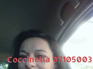 Coccinella-07105003