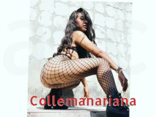 Collemanariana