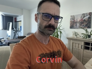 Corvin