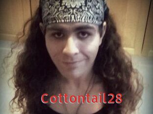 Cottontail28