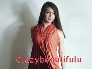 Crazybeautifulu