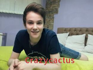 Crazycactus