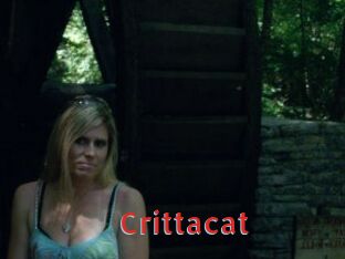 Crittacat