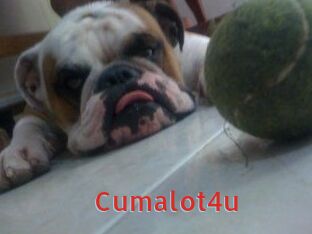 Cumalot4u