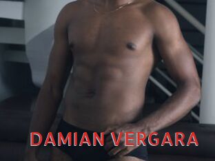 DAMIAN_VERGARA