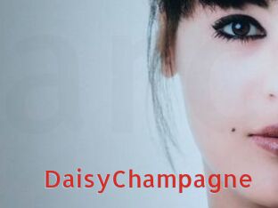 DaisyChampagne