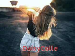 DaisyColle