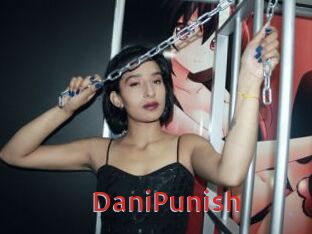 DaniPunish