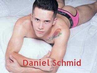 Daniel_Schmid