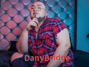 DanyBridge