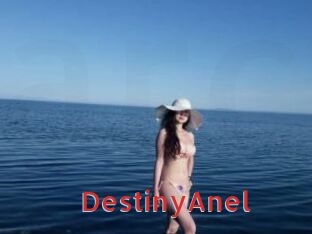 DestinyAnel