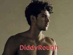 DiddyRough