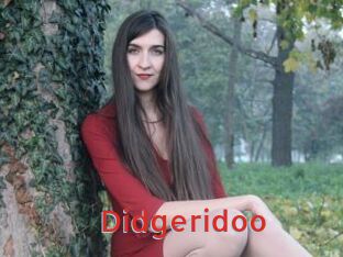 Didgeridoo