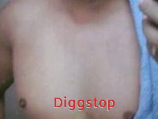 Diggstop