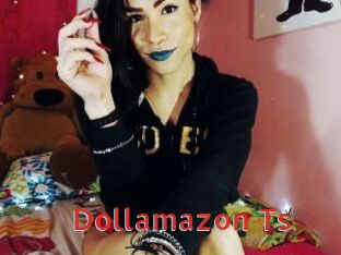 Dollamazon_Ts