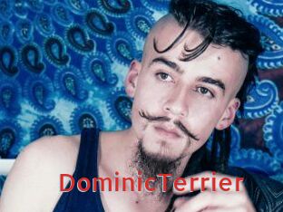 DominicTerrier Archive DVD NET