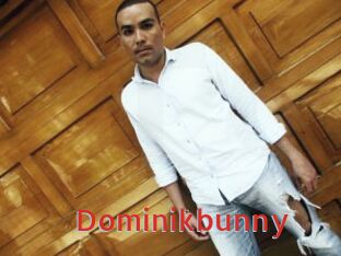 Dominikbunny