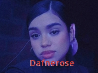 Dafnerose