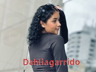 Dahliagarrido