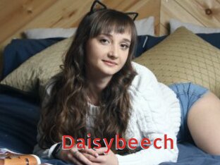 Daisybeech