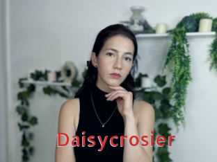 Daisycrosier