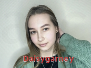 Daisygarney