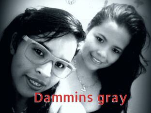 Dammins_gray