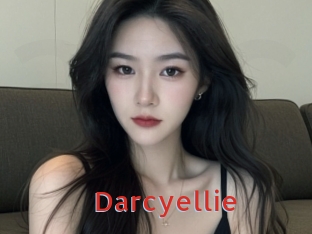 darcyellie Archive DVD NET