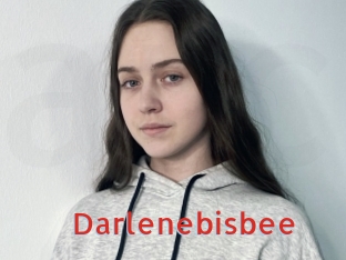 Darlenebisbee