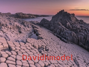 Davidhmodel