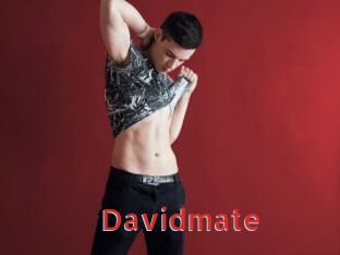Davidmate