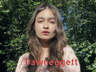 dawneggett Archive DVD NET