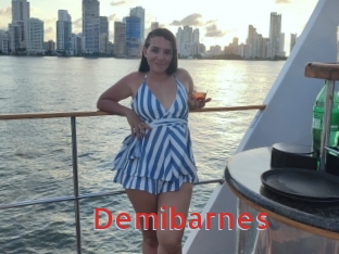 Demibarnes